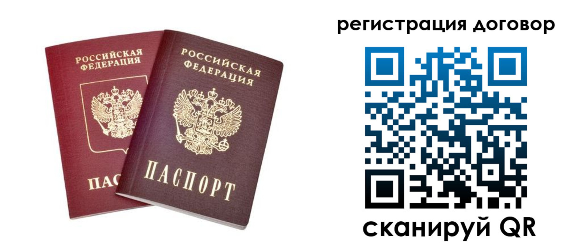 временная регистрация адрес в Светлогорске